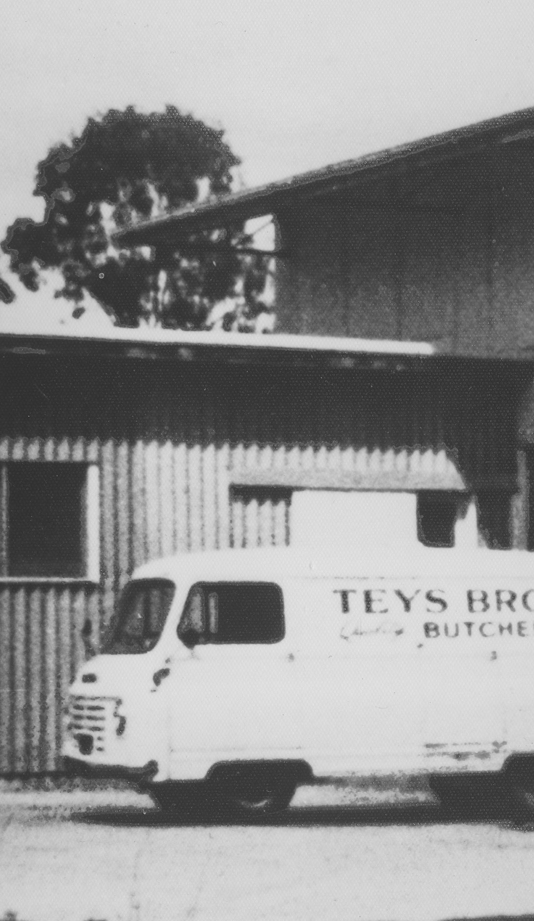 Teys history of butcher shop