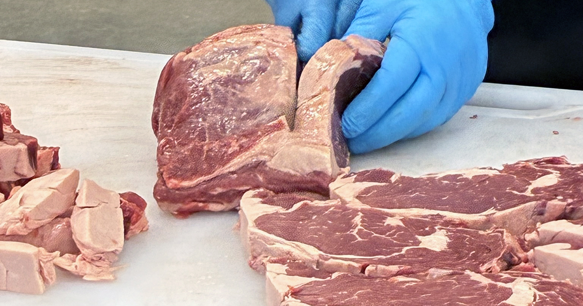 Australian beef sourcing: Hands with blue gloves cutting slices of fresh beef