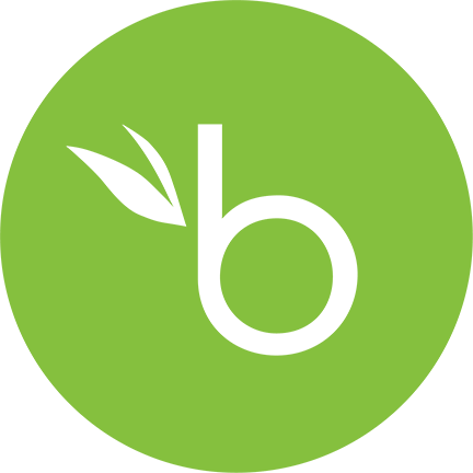 BambooHR